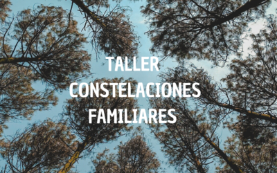 TALLER DE CONSTELACIONES FAMILIARES FEBRERO 2024